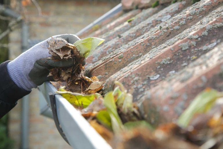 September Roof Readiness Checklist: Prepare for Fall Storms and Cooler Temps