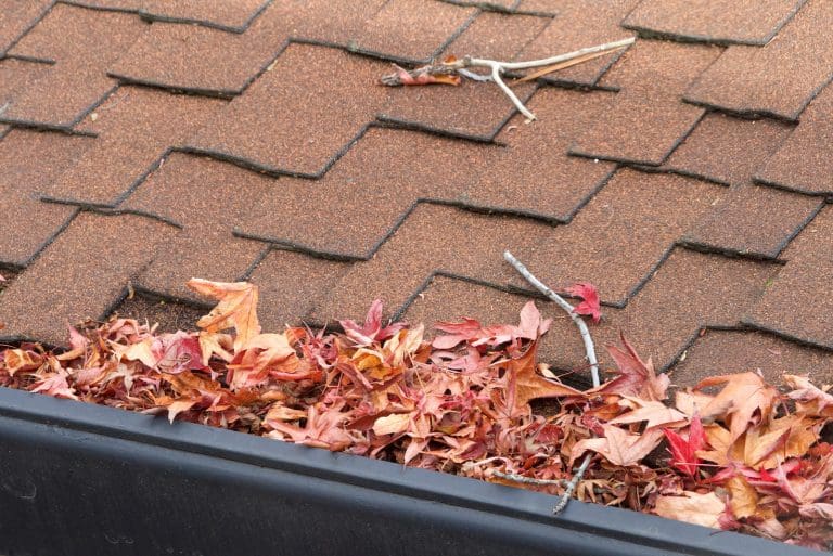 How Clogged Gutters Can Destroy Your Roof (and How to Prevent It)